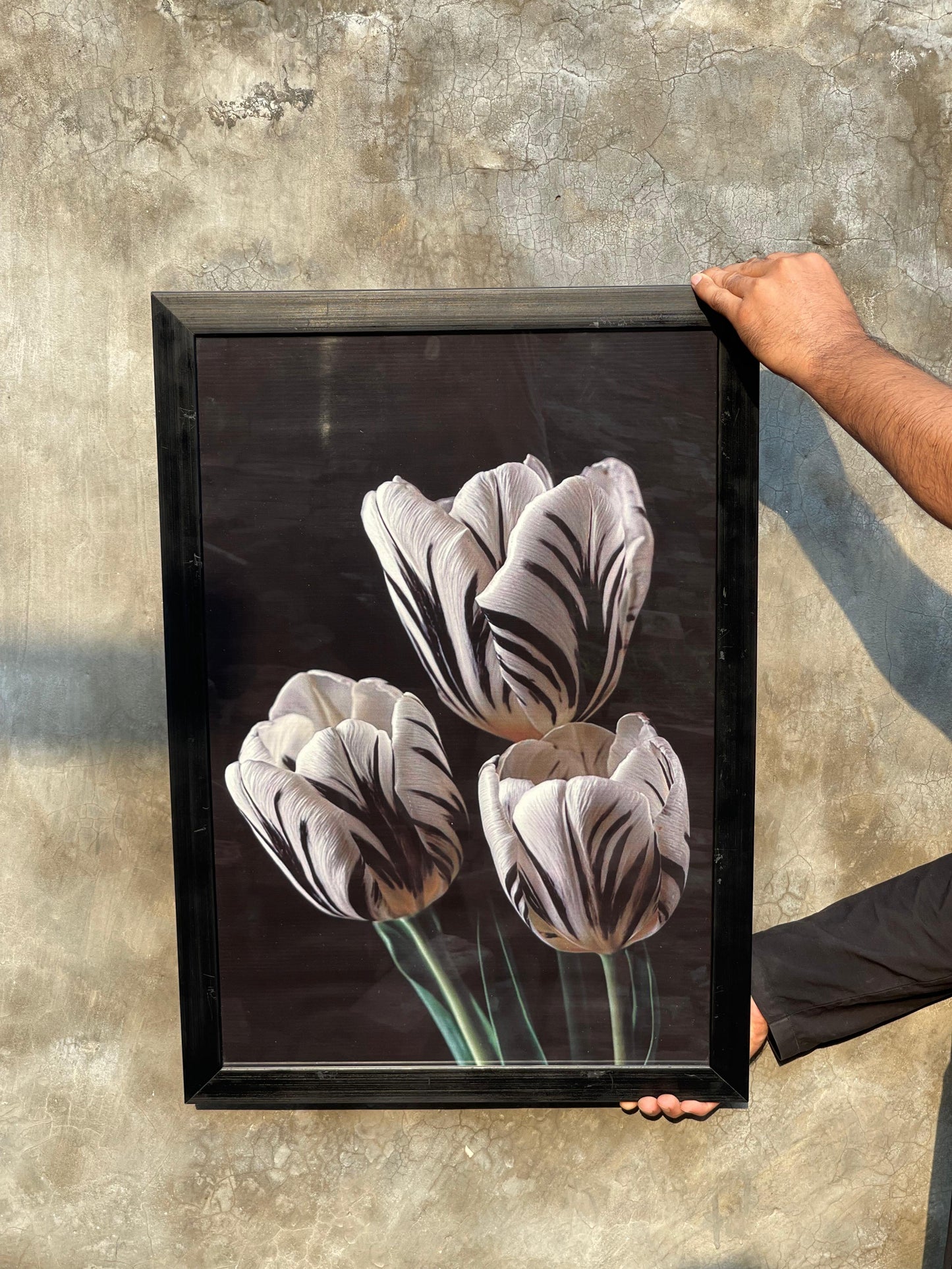 Premium White Tulip Wall Art 21x30 Inc
