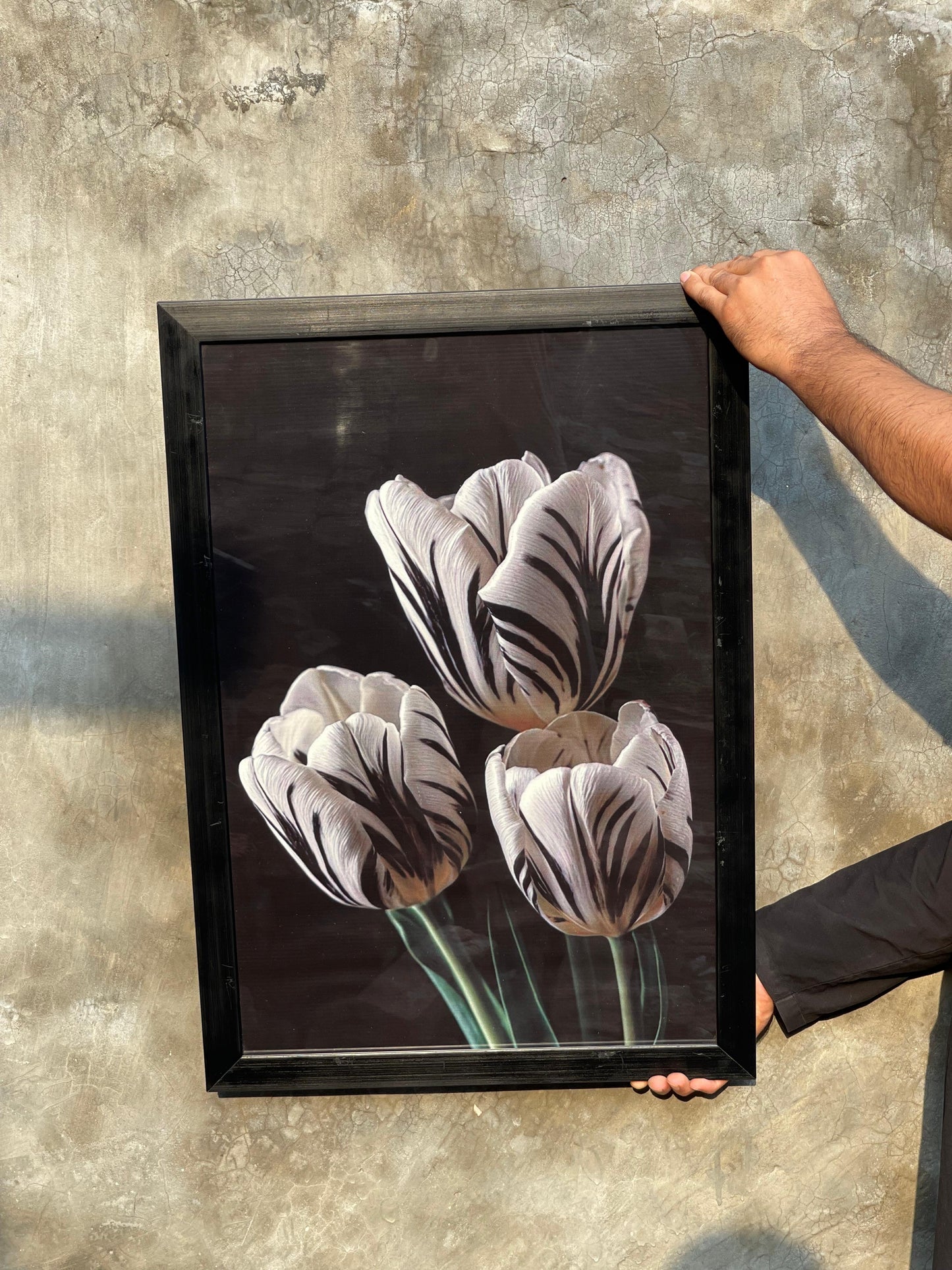 Premium White Tulip Wall Art 21x30 Inc